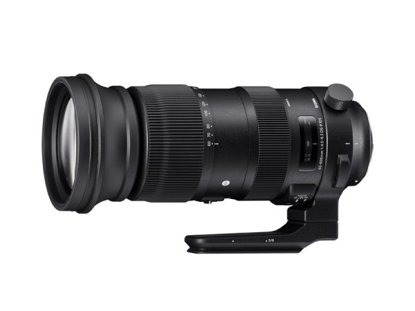 SIGMA AF 60-600mm f/4.5-6.3